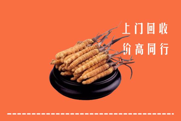 高价求购：汝州市回收散虫草